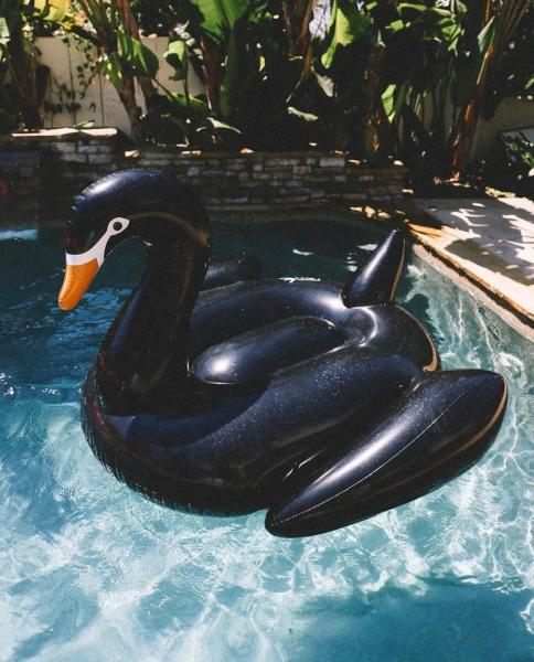 Quality Swimming Pool Lounger Float Black White Gold Swan Pool Float 190CM for sale