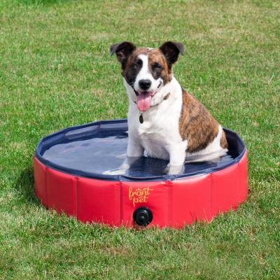 China Cleaning Tool 120cm Portable Dog Bath Tub For Home Foldable Pet Swimming Pool for sale