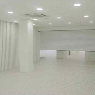 China Motorized Aluminum Roll Up Shutter Doors 1.2mm For Department Store for sale