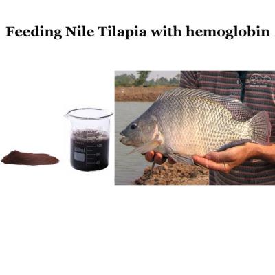 China Dietary Animal Protein Source Spray Dried Hemoglobin Powder For Nile Tilapia for sale