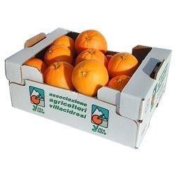 China Fruit Vegetable Corrugated Plastic Packaging Boxes for sale