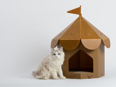 China FC Coroplast PP Corrugated Cat House Moisture Resistant for sale