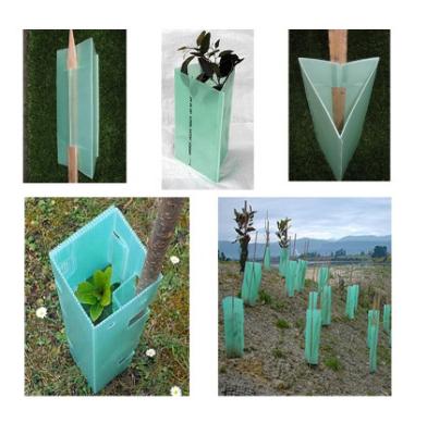 China Anti UV PP Corrugated Plastic Tree Shelter 2-6mm ShockProof for sale