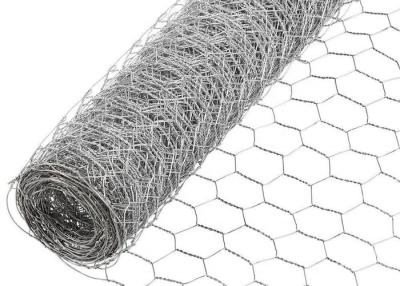 China 1 inch Galvanized Hexagonal Wire Mesh Netting Silver 0.7mm Diameter For Cage for sale