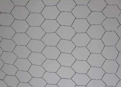 China Malla hexagonal galvanizada 18 indicadores 4 pie X 50 pies de alambre Mesh For Wall Plastering en venta