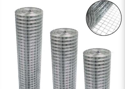 China 25m 30m Galvanized Welded Metal Wire Mesh Rolls 1/4 inch 8 inch Aperture for sale