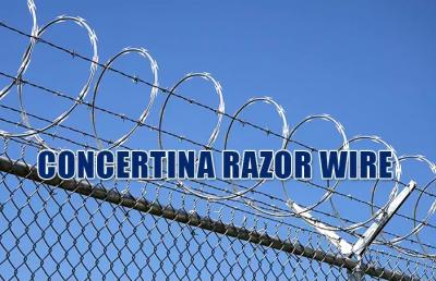 China Bto-22 Galvanized Concertina Razor Wire Diameter 600mm Loops For Anti Climbing Fence for sale