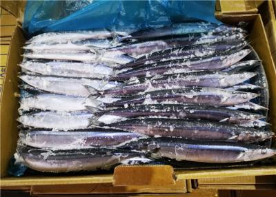 China 100% Net Weight #3 Frozen Pacific Saury For Canned Fish for sale