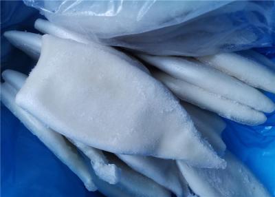 China 6 Fatty Acids Delicious Giant Tube U5 Fresh Frozen Squid for sale