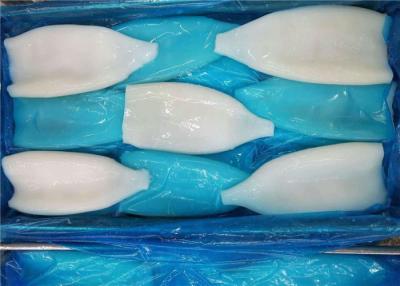China U5 Giant Squid Tube 90g Fresh Frozen Squid For Restaurant for sale
