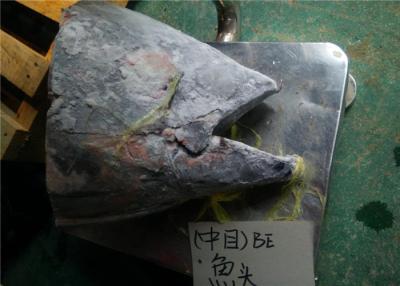 China Under 18 Degree Sea Fresh Yellow Fin Tuna Fish Head for sale