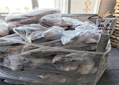 China Under 18 Degree 1300g 1500g Fresh Grey Mullet For Restaurant for sale