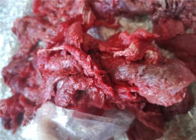 Chine Thon de truite saumonnée congelé de viande de déchets de la catégorie 6kg 8kg de D.C.A. à vendre