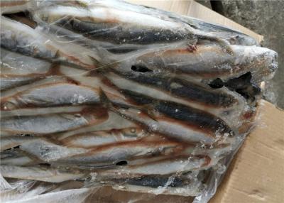 China Decapterus Muroaji 76g 77g alrededor del cebo de pesca congelado del Scad en venta