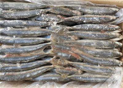 China Decapterus Muroaji debajo 18 del cebo de pesca congelado del grado 75g 80g en venta