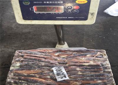 China Illex Argentinus Fresh Frozen Squid for sale