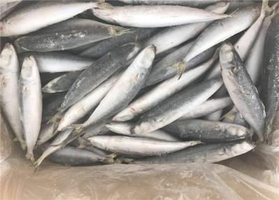 Китай Опустошанные здоровые формируют приманку морского рыболовства 60g 80g замороженную продается