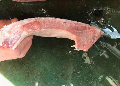 China Delicious Seafood 500g 600g Deep Frozen Yellowfin Tuna Kama for sale