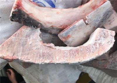 China Frozen Yellowfin Tuna Kama for sale