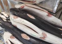 Chine Bifteck surgelé étripé de requin bleu de la coupe 10kg pour le restaurant à vendre