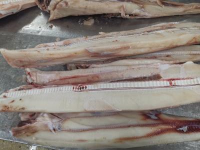 China 10kg Frozen Marlin for sale