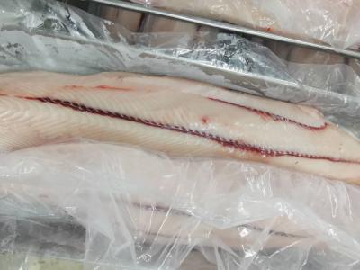 China 2kg Sail Fish IQF Freezing Seafood HGT Frozen Marlin bone for sale