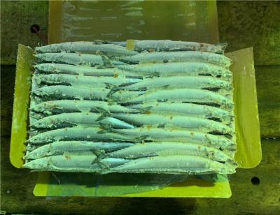 China A Grade Natural Color IQF Frozen Pacific Saury Fish for sale