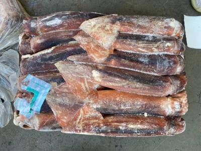 China BQF 200G 300G entero alrededor del calamar congelado fresco de Illex en venta