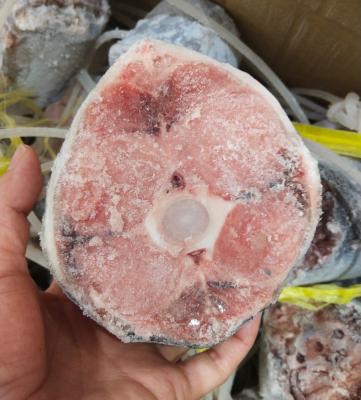 China Círculo inteiro saboroso 250g acima da cauda congelada -60℃ do atum de atum amarelo para enlatado à venda
