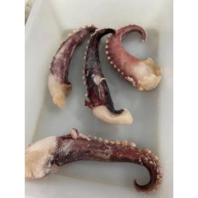 China A Grade Quality Hot selling Frozen Giant squid tentacles NW 30 60g for sale