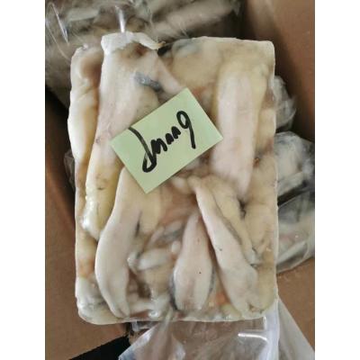 China TONGZHONGHE SEAFOOD White Block Quick Frozen Illex Squid Egg 2.5kg/Bag For Thailand Market for sale