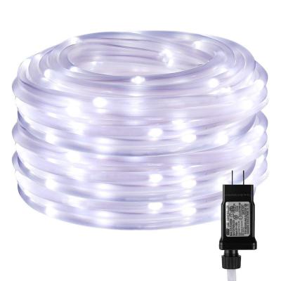 China DC24V Rainbow LED Rope Lights Leather 10M 200 LED Outdoor String Light for sale