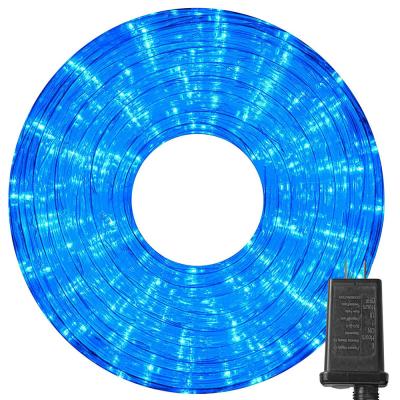 China 10M LED Rope Strip Lights Remote Control Outdoor LED Fairy Garland Lights for sale
