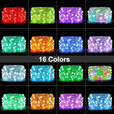 China 24V RGB Changeable LED Holiday Lights Decoration Remote Control en venta