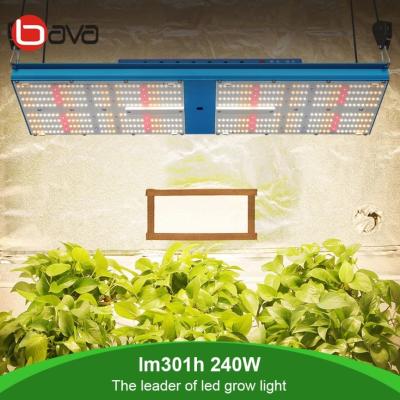 China ETL LM301H SAMSUNG Quantum LED Board 730nm Far Red LED Grow Light for sale