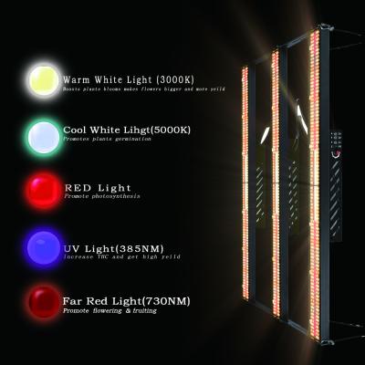 China 600w 1560umol/s  Led Grow Lights Bar Full Spectrum 730nm For Bonsai for sale
