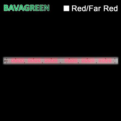 China el aumentador de presión rojo lejano rojo de la floración de 660nm 730nm crece Bavagreen ligero IR en venta