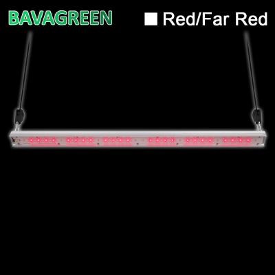 China SAA 660nm 730nm Indoor Garden Led Grow Lights No Dimming for sale