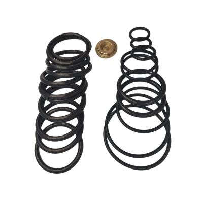China Baker Type O Ring Redress Kit #10 Setting  Rubber Seal Downhole Completion Tools à venda