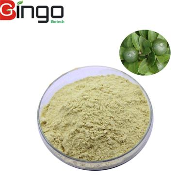 China Wholesale Natural Diosmin Hesperidin Extract Cosmetic Diosmin With Best Price for sale