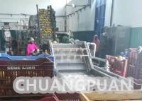 Quality Turn Key PLC Control 1-20T/H Mango Pulp Production Line 220V 380V 440V for sale