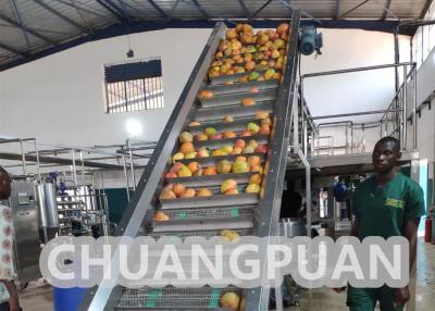 China Turn Key PLC Control 1-20T/H Mango Pulp Production Line 220V 380V 440V for sale