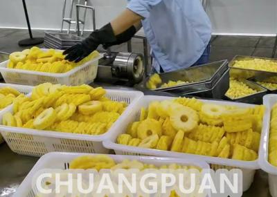 Китай Линия обработки ананасов 2-10T/H Нержавеющая сталь полностью автоматическая продается