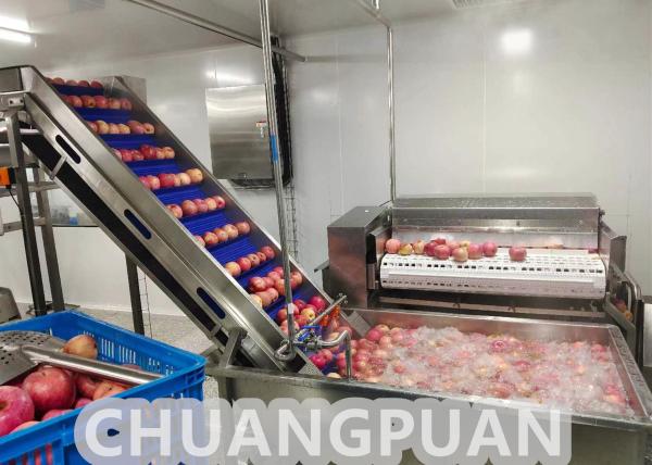 Quality Industrial Turn Key HPP Apple Juice Production Line for sale