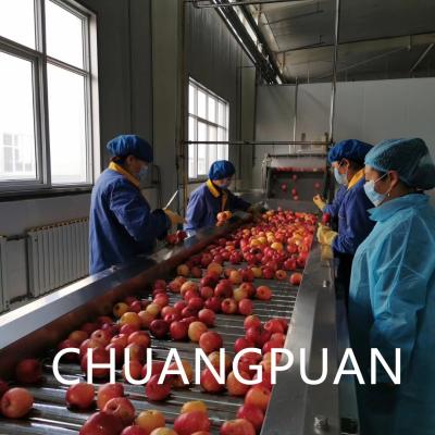 China Equipo de procesamiento de salsa de tomate con sistema de tapón de llenado aséptico automático Pasta de tomate en venta