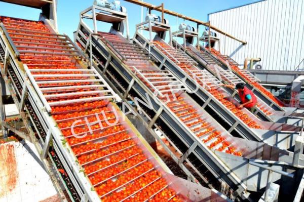 Quality PLC Control Industrial Tomato Paste Production Line for sale