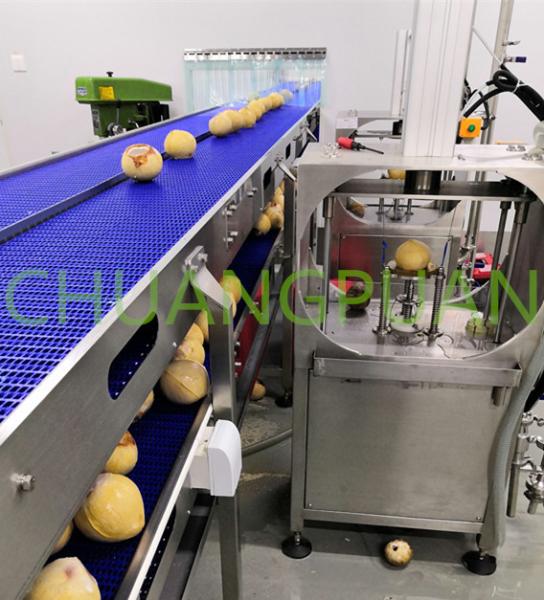 Quality Milk Coconut Processing Machine With 304 Stainless Steel for sale
