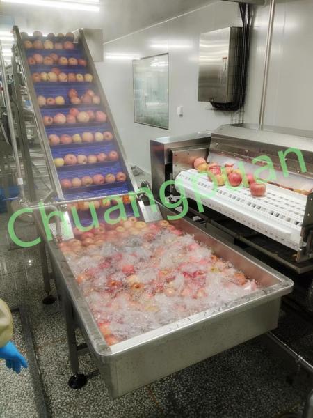 Quality 380V 50Hz 15T Apple Juice Production Line Cold Pressing for sale