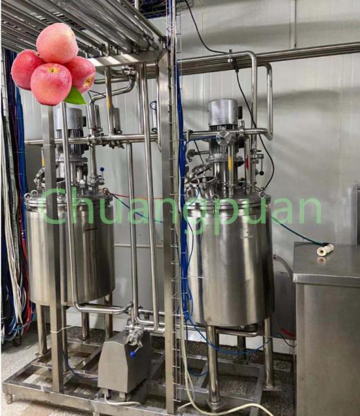 Quality Vacuum Filling Cold Pressing Apple Juice Production Line 15T for sale