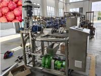 Quality Cold Pressing HPP Apple Juice Processing Equipment PLC Control for sale
